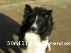 profil de Spike