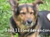 view snouky`s profile