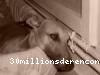 view Corto`s profile