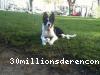 view foster`s profile
